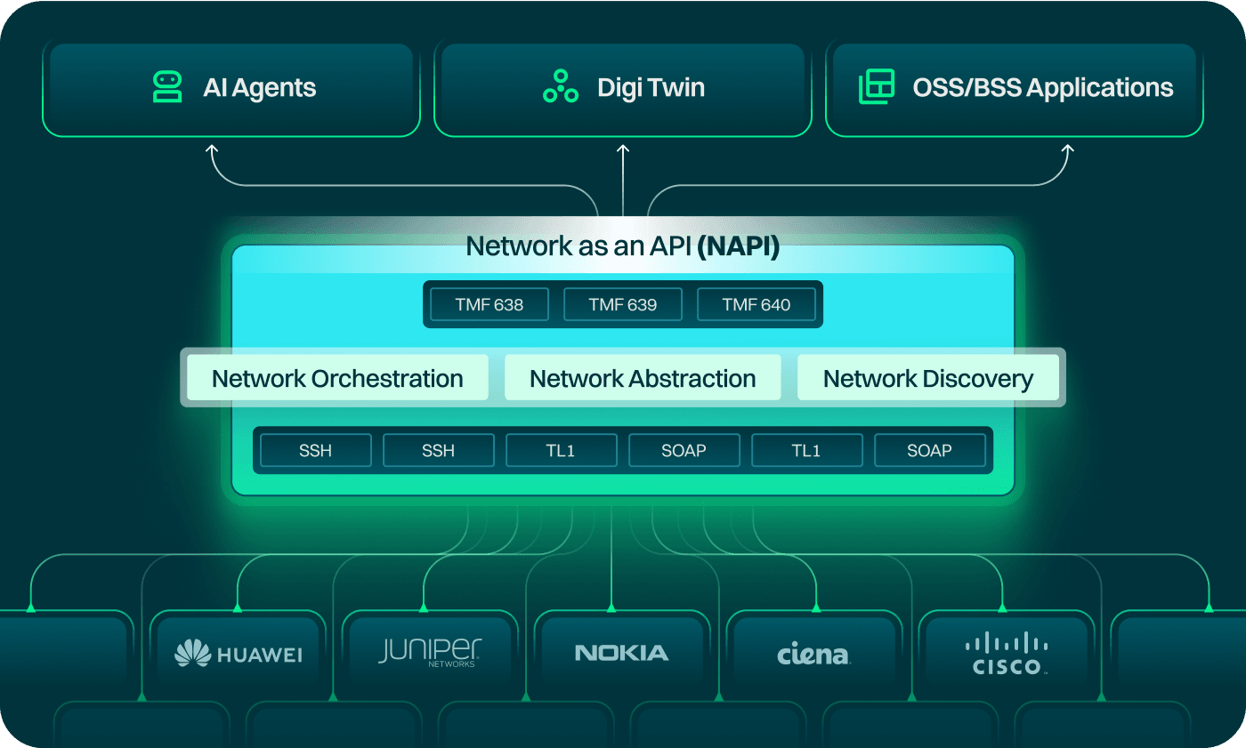 NAPI Platform